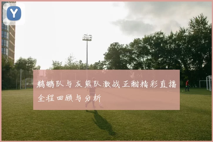 鹈鹕队与灰熊队激战正酣精彩直播全程回顾与分析