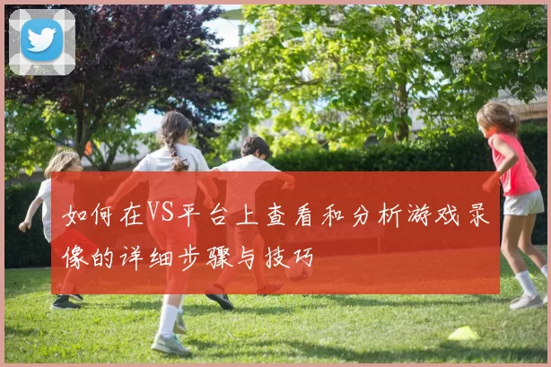 如何在VS平台上查看和分析游戏录像的详细步骤与技巧