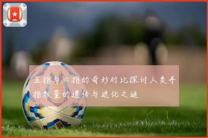 五指与六指的奇妙对比探讨人类手指数量的遗传与进化之谜