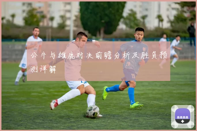 公牛与雄鹿对决前瞻分析及胜负预测详解